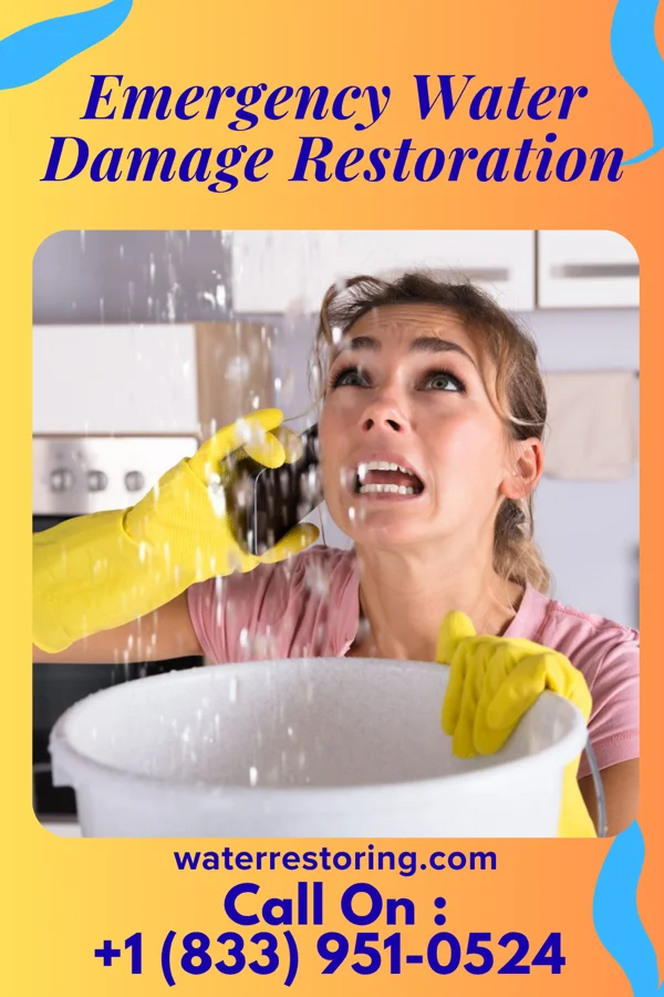 Emergency Water Damage Restoration in Malden, IL