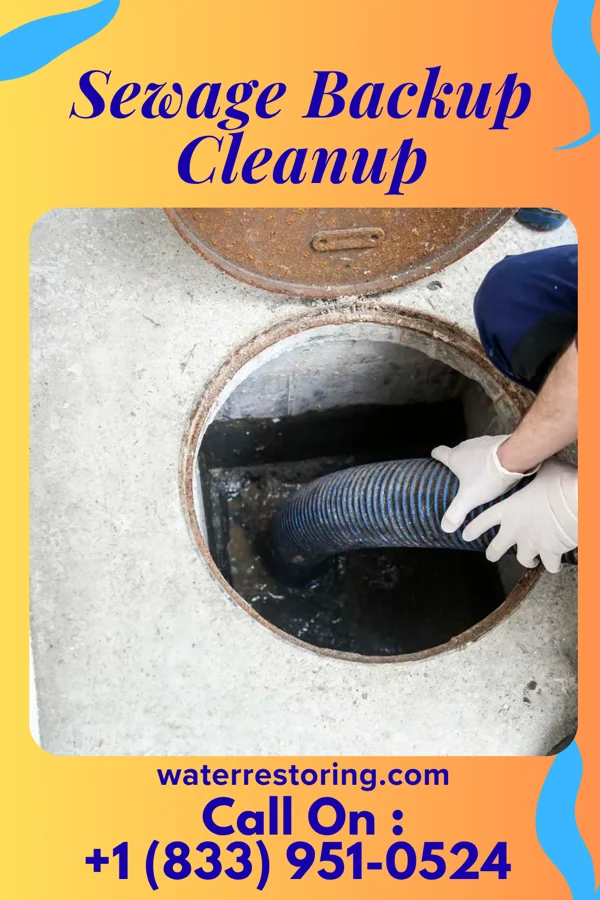 Sewage Backup Cleanup in Malden, IL