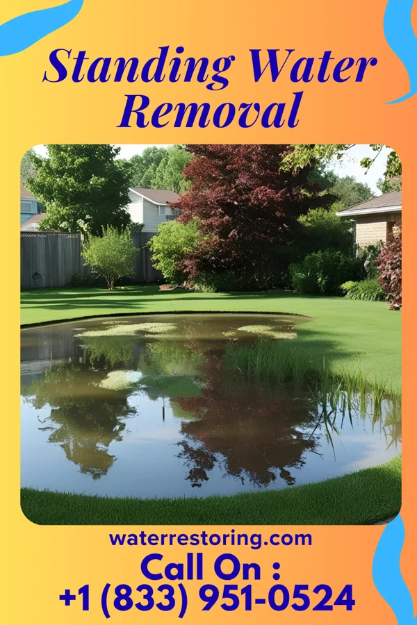Standing Water Removal in Malden, IL